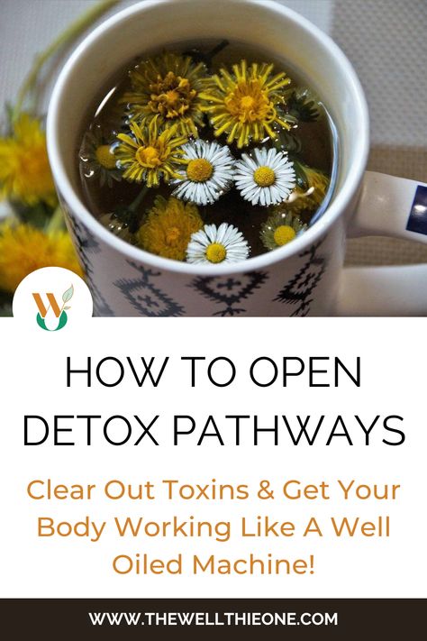 How to Open Detox Pathways – Clear Out Toxins & Get Your Body Working Like A Well Oiled Machine! Detox Pathways, Water Infusion, Detox Supplements, Colon Cleanse Recipe, Feeling Sluggish, Cleaning Your Colon, Parasite Cleanse, Cleanse Your Body, Colon Cleanse