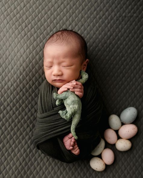 A newborn session doesn’t have to be 4 hours long. My mini newborn sessions takes about 2 hours and includes several beautiful setups. Love this last minute session for my client @tat1na and her little man! Swipe to see some of her stunning maternity images as well! #wrappednewborn #newbornphotography #sandiegonewbornphotographer #sandiegobabyphotographer #sandiegomaternityphotographer #sandiegopregnancyphotographer #studionewbornsession #studiomaternityphotographer Dino Newborn Pictures, Newborn Dinosaur Photography, Dinosaur Photography, Newborn Photography Boy, Maternity Pics, Newborn Pictures, Photographing Babies, Baby Things, Newborn Session