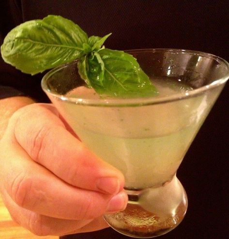 Fresh Basil Martini Basil Martini, Best Martini Recipes, Basil Cocktail, Dried Basil Leaves, Perfect Martini, Martini Ingredients, Low Carb Cocktails, Vodka Lime, Basil Recipes