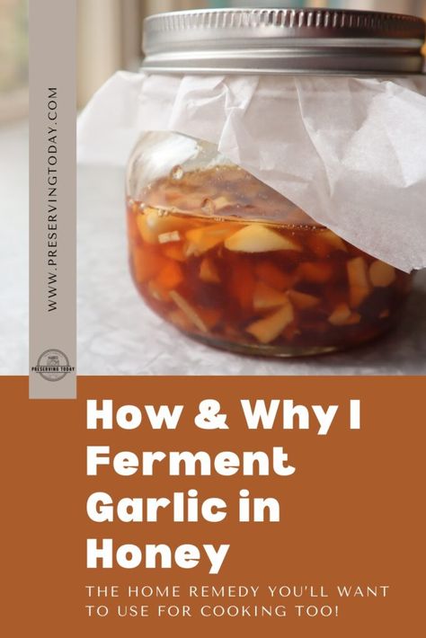 How To Make Fermented Garlic Honey, Garlic Honey Mason Jar, Garlic Fermented In Honey, Garlic Antibiotic Recipe, Honey Garlic Syrup, Fermented Honey Garlic Ginger, Honey Garlic For Sickness, Honey Garlic Medicine, Honey Garlic Cold Remedy