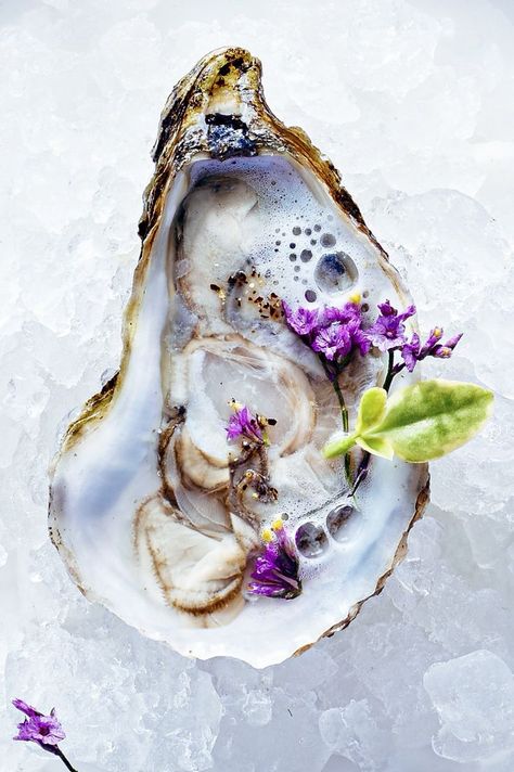 Food Videography, Oyster Recipes, Coquille Saint Jacques, Raw Bars, Macro Meals, Oyster Pearl, Exotic Fish, Edible Glitter, Sea Food