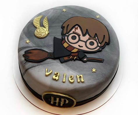 Harry Potter Mini Cake, Bento Cake Harry Potter, Harry Potter Birthday Party Ideas Cake, Simple Harry Potter Cake, Pastel Harry Potter, Harry Potter Cake Ideas, Gateau Harry Potter, Harry Potter Theme Birthday, Harry Potter Birthday Cake