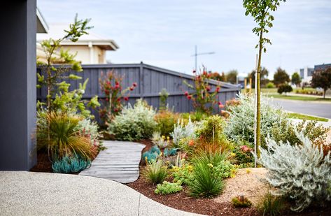 Sunken Coastal Garden | Phillip Withers Landscape Design Front Garden Ideas, Australian Garden Design, Coastal Landscaping, Coastal Garden, Australian Native Garden, Country Garden Decor, Front Garden Landscape, Front Garden Design, Landscaping Inspiration