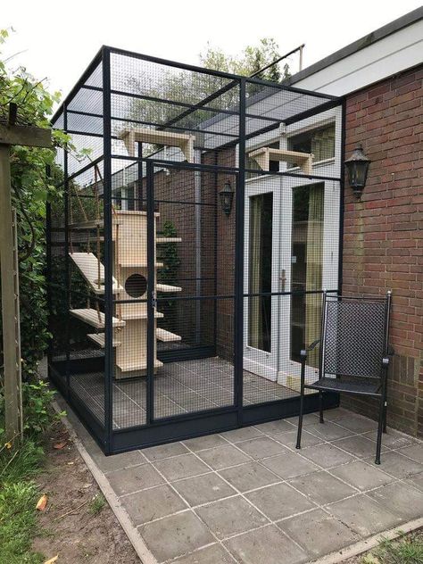 Cat Patio Enclosure, Standing Side View, Cat Catio, Outside Cat Enclosure, Standing Reference, Pet Room Decor, Cat Litter Cabinet, Hiding Cat Litter Box, Architectural Concepts