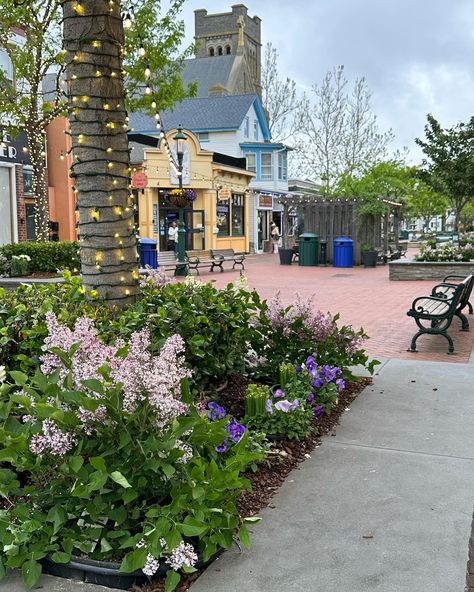 My fav place💛🌊🍪 Cape May has always felt like a second home to me! It will never get old. It’s such a beautiful, quaint town. 📍Washington Street Mall 📍Congress Hall 📍Cape May Peanut Butter Co. 📍Taco Caballito 📍Ben & Jerry’s #capemay #capemaynj #southjersey #njblogger #newjersey #njbeaches #visitnj #explorenj #congresshall #washingtonstreetmall Washington Towns, Capemay Nj, Nj Beaches, Cape May New Jersey, Planet Coaster, Street Mall, Fav Place, Cape May Nj, Solo Trip