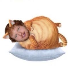 Ed Shiran, Ed Sheeran Cat, Ed Sheeran Memes, Ed Sheeran Love, Funny Profile, Funny Profile Pictures, Reaction Memes, Orange Cat, Really Funny Pictures