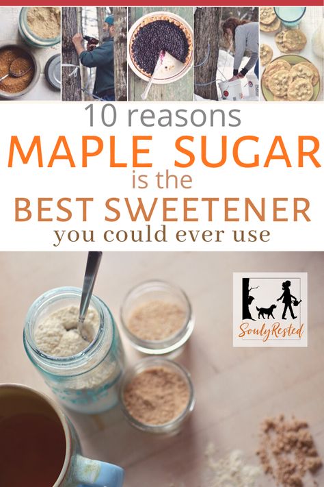 10 reasons why maple sugar is one of the best sweeteners you can use, along with recipes and lots of suggestions of how to use maple sugar. #maplesugar #bestsweetener #allnaturalsweetener Maple Sugar Recipes, Maple Tapping, Maple Sugaring, Homesteading Life, Maple Recipes, Syrup Recipes, Low Acid Recipes, Sugar Replacement, Produce Recipes