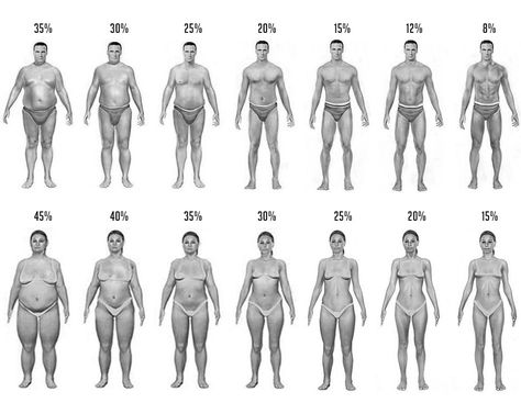 Body Fat Pictures Body Fat Chart, Body Fat Percentage Chart, Mens Body Types, Fruit Nutrition Facts, Body Fat Measurement, Lower Body Fat, Nutrition Plan, Human Anatomy Drawing, Healthy Body Weight