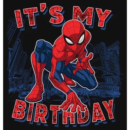 Happy Birthday Spiderman, Spiderman Theme Party, Spiderman Theme, Superhero Fashion, Black Spiderman, Birthday Boys, Happy Birthday Girls, Marvel Shirt, Spiderman Birthday