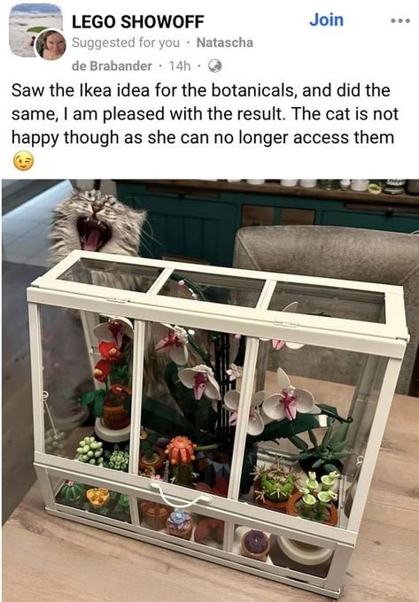 Apartment Cat Hacks, Cute Lego Display, Lego Plant Display, Lego Succulent Display, Lego Botanical Collection Display, Lego Garden Ideas, Lego Flower Display, Figurine Display Ideas, Lego Plants