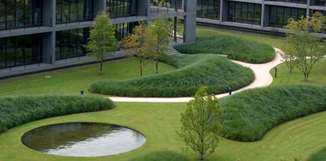 . Thomas Rainer, Garden Of Earthly Delights, Planting Design, Park Landscape, Landscape Architecture Design, Green Architecture, Have Inspiration, Garden Landscape Design, Modern Landscaping