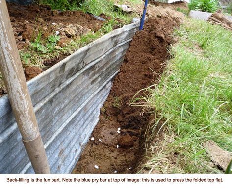 Blocking tree roots Veggie Beds, Galvanized Garden, Root Barrier, Sustainable Homestead, Garden Blocks, Practical Garden, Backyard Plan, Tree Root, Growing Greens