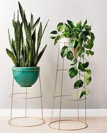 Support Pour Plante, Meteor Garden 2018, Tomato Cages, Diy Plant Stand, Bedroom Plants, Plant Stand Indoor, House Plants Decor, Kew Gardens, Plant Shelves