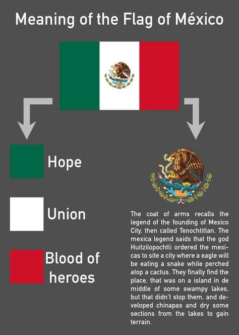 Flag Of Mexico, Mexican American Culture, Art Chicano, Mexico Wallpaper, Hispanic Aesthetic, Mexican Independence, Flag Template, Mexican Culture Art, Mexico History