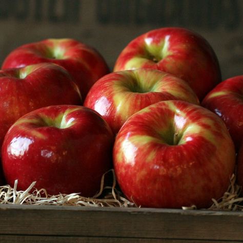 Fruit Company, Apple 7, Honeycrisp Apples, Fruit Gifts, Gourmet Gift Baskets, Health Ideas, Hood River, Apple Fruit, Apple Harvest