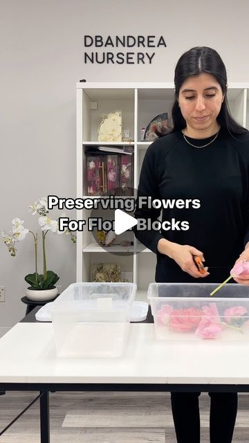 Andrea Castaneda | Wedding Flower Preservation Artist on Instagram: "Floral Blocks: A Peek into Our Flower Preservation Process ● Flowers are expertly preserved using 1-5 different methods tailored to each part of the bloom. ● Our exclusive Flower RestorationTM Process involves over 200 meticulous steps, including reshaping and Color Restoring your blooms with five unique techniques for stunning results. ● We proudly offer the largest selection of Floral Block sizes, shapes, and customizations on the market. ● Floral Blocks are crafted with state-of-the-art resin featuring UV inhibitors for long-lasting durability. Please note: Epoxy may yellow over time, so we advise against direct sunlight display. We recommend adding our signature black background to camouflage the amber hue that m Wedding Flower Epoxy, Epoxy Flower Preservation, Resin Flower Preservation, Wedding Flower Preservation, Flower Preservation, Resin Projects, Art Resin, Resin Flowers, How To Preserve Flowers