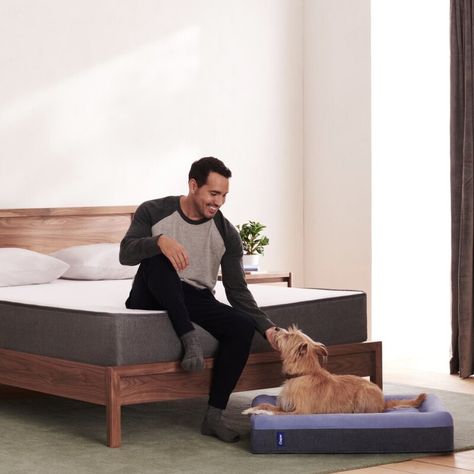 Casper Sleep Casper Dog Bed & Reviews | Wayfair Mattress Dog Bed, Sleep Products, Outdoor Dog Bed, Dog Bed Mat, Bolster Dog Bed, Memory Foam Dog Bed, Dog Beds For Small Dogs, Orthopedic Dog Bed, Bed Mats