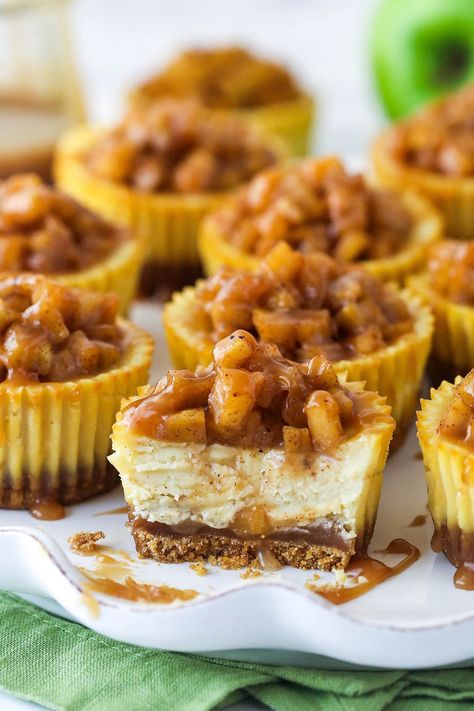 Caramel Apple Cheesecake Bites, Caramel Apple Mini Cheesecakes, Mini Caramel Apple Cheesecake, Sharable Desserts, Mini Carmel Apples, Carmel Apple Cheesecake Bars, Caramel Apple Cheesecake Recipes, Apple Cheesecake Bars, Mini Cheesecakes Easy