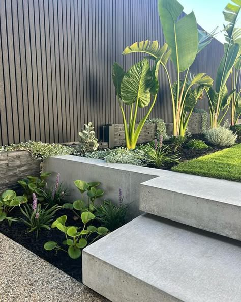 SALTY STONE LANDSCAPING on Instagram: "Tropical courtyard feels. Off form concrete steps and wall, softened by lush green planting ❤️   Design & build by the team @saltystonelandscaping" Tropical Courtyard, Backyard Retaining Walls, Driveway Garden, Australian Garden Design, Tropical Garden Ideas, Outdoor Pool Area, Stone Landscaping, Tropical Garden Design, Landscaping Retaining Walls