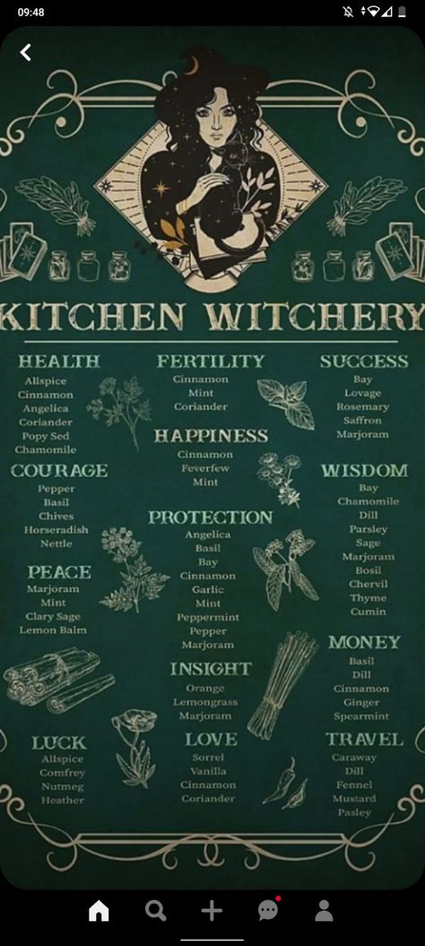 here are some herbs you can use in you kitchen and what they'll help you with Witch Herbs, Medicinal Herbs Garden, Traditional Witchcraft, Green Witchcraft, Kitchen Witchery, Green Magic, Magic Herbs, Herbal Magic, Spices And Herbs