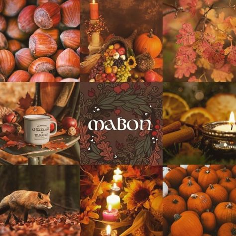 Mabon Art, Blessed Mabon, The Wheel Of The Year, Autumn Witch, Cottage Witch, Autumnal Equinox, Fall Stuff, Wheel Of The Year, Witchy Things