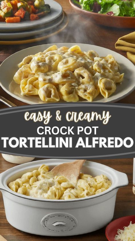 Forget takeout! This EASY Crock Pot Tortellini Alfredo recipe is your ticket to creamy, cheesy goodness in MINUTES!   Perfect for busy weeknights, this recipe is sure to become a family favorite.  Just a few ingredients and your trusty Crock Pot are all you need to whip up this restaurant-worthy dish. Crock Pot Cheese Ravioli, Crockpot Cream Cheese Tortellini, Crockpot Recipes Pasta Alfredo, Slow Cooker Cheese Tortellini, Tortellini Lasagna Crock Pot, Super Easy Crock Pot Meals, Crock Pot Meal Ideas For Dinner, Tortellini Meatball Crockpot, Tortellini Pasta Crock Pot Recipes