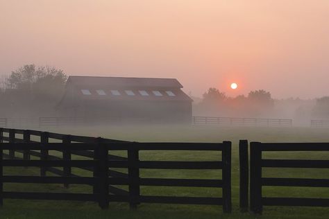 Sunrise in Rural Kentucky | Northwest Kentucky | Wade Gurney | Flickr Kentucky Aesthetic, Rural Kentucky, Bardstown Kentucky, Ars Longa Vita Brevis, Blood Moon, Places And Spaces, North West, Landscape Art, Art References