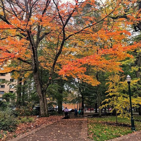 Oregon State University Aesthetic, Portland University, Identity Collage, Apartment Color Palette, University Of Portland, Autumn Ambience, Oregon College, English Girl, Aesthetic Scenery