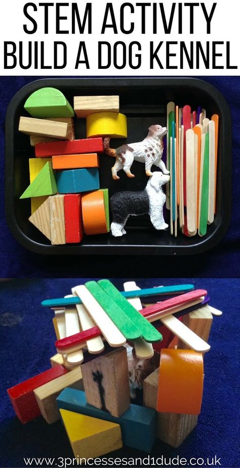 Build A Dog Kennel, Building A Dog Kennel, Kindergarten Stem, Pets Preschool Theme, Preschool Stem, Creative Curriculum, Steam Activities, Pet Vet, Stem Challenges