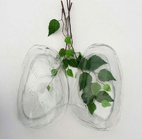 aesthetic images; - us and the ground beneath - Wattpad Capricorn Rising, Street Style Photography, Logo Type, Aesthetic Images, Lungs, Green Aesthetic, Plant Life, Percy Jackson, Glass Vase