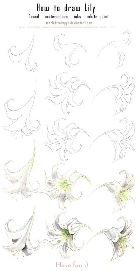 Trin For Trin Tegning, Ako Kresliť, Book Drawings, Environment Reference, Simple Drawings, Flower Drawing Tutorials, Flowers Drawing, Flower Sketches, 수채화 그림