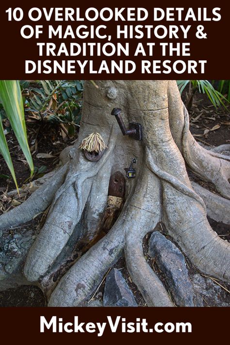 Ten Overlooked Details in Disneyland: Magic, History, Tradition, and More! Disneyland Hotels, Disneyland Dining, Disneyland History, Disney Trip Surprise, Disney Surprise, Disneyland Secrets, Universal Parks, Disneyland Photos, Disney Attractions