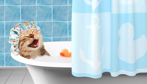 Apple Cider Vinegar Bath, Cat Shampoo, Cat Bath, Duck Toy, Long Haired Cats, Cat Reading, Cat Care Tips, Fabric Wall Hanging, Kittens And Puppies