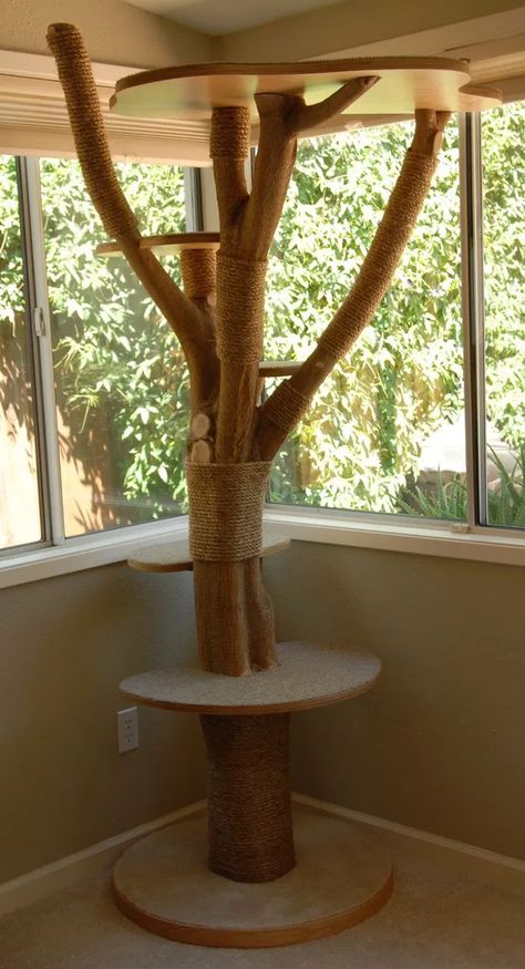 Katt Diy, Kat Diy, Chat Diy, Diy Cat Tree, Diy Cat Toys, Diy Playground, Cat Towers, Tree Furniture, Cats Diy Projects