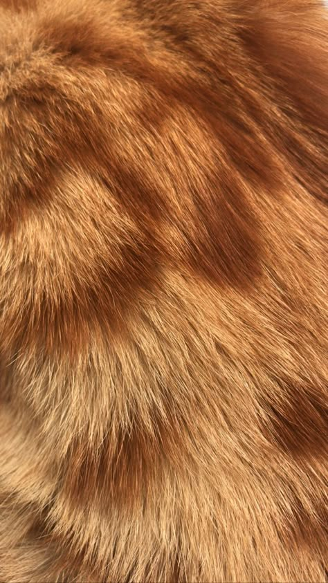 Animal Fur Texture, Graphic Pattern Design, Cat Siberian, Simple Pattern Design, Pattern Design Wallpaper, Fur Background, Repeating Pattern Design, Illustrator Pattern, Pattern Doodle