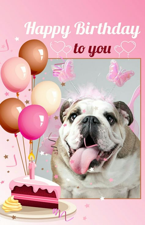 Bulldog Birthday Wishes, English Bulldog Birthday, Bulldog Happy Birthday, Dog Birthday Wishes, Best Birthday Quotes, Happy Birthday Dog, Birthday Congratulations, Happy Birthday Pictures, Birthday Blessings