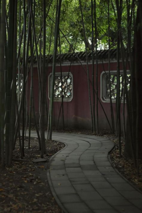 Bamboo forest of Zhuyuan in Chengdu, Sichuan Province. Bamboo Forest, Chengdu, Forest, China, Architecture