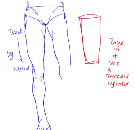 Leg Reference, Leg Anatomy, How To Draw Anime, Anatomy Tutorial, Draw People, Anatomy Sketches, Draw Anime, Body Reference Drawing, Body Anatomy