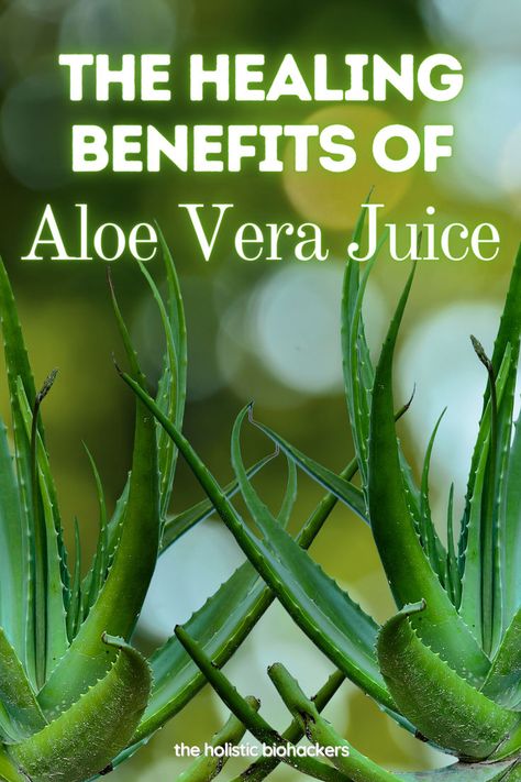 This post is full of incredible resourceful information regarding aloe vera juice and all of the amazing health benefits it has to offer. If you are looking for natural remedies, do not pass on reading this! Aloe Vera Juice Benefits, Aloe Vera Health Benefits, Heal The Gut, Herbal Leaves, Benefits Of Aloe Vera, Juice Benefits, Aloe Vera Benefits, Heal Your Gut, Plant Benefits