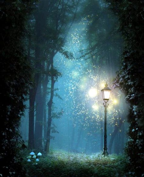 45 Fascinating Examples Of Firefly Photography Chronicles Of Narnia, Magical Places, Enchanted Forest, Narnia, Fantasy Landscape, Fantasy World, In The Middle, The Middle, Enchanted