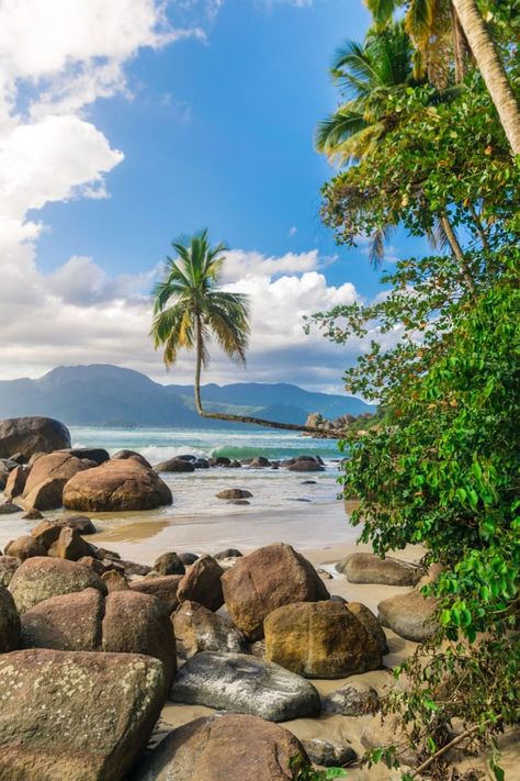 Top things to do in Ilha Grande Brazil. Explore with this complete travel guide. Ilha Grande Brazil, Brazil Travel Guide, South America Travel Destinations, Brazil Travel, Secluded Beach, Tropical Rainforest, South America Travel, Boat Tours, Tropical Paradise