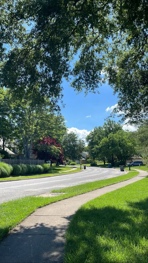 heart, hidden heart, green trees, paradise, nature, beautiful, sky Outside Asethic, American Neighborhood, Los Angeles California Photography, Cute Background For Zepeto, Colorado Aesthetic, Life In Usa, Urban Pictures, Travel Instagram Ideas, Beach Sunset Wallpaper