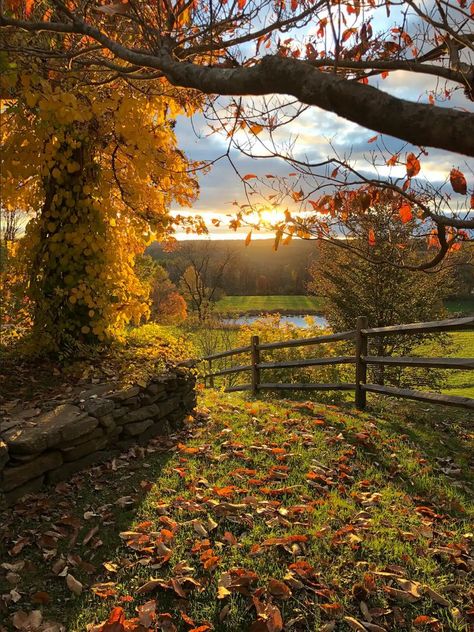 Leaves On The Ground, Pretty Nature, Autumn Magic, Pretty Landscapes, Autumn Scenery, Fall Pictures, Cozy Autumn, Autumn Vibes, Autumn Landscape