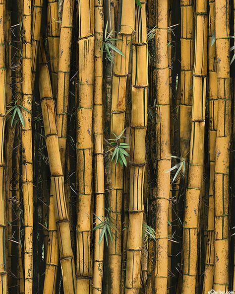 Digitally printed, wider bamboo is about 1-1/2", from the 'Call of the Wild' collection by Hoffman Fabrics.  Quilt Fabrics from www.eQuilter.com Teen Wall Decor, Bamboo Background, Bamboo Wallpaper, Elemental Dragons, Johnson Tiles, Bamboo Texture, Bamboo Box, Bamboo Art, Hoffman Fabrics