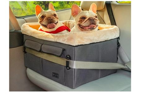 Small Dog Car Seat, Dog Car Booster Seat, Car Booster Seat, Puppy Life, Pet Crates, Booster Seats, Dog Seat Belt, Car Sick, Washable Pads