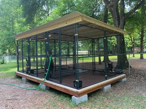 Dog Kennel Set Up Outside, Outdoor Puppy Pen, Diy Outdoor Dog Kennel Cheap, Dog Kennels Diy Outdoor, Dog Kennel Ideas Outdoor Diy Cheap, Outside Dog Kennel Ideas, Cheap Dog Run Ideas Backyard, Dog Cage Ideas Outdoor, Outside Dog Kennel Ideas Diy