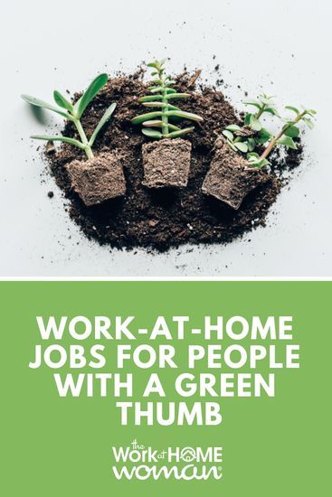 Flexible and Work-At-Home Jobs for People with a Green Thumb Gardening Business, Plant Business, Green Jobs, Coconut Bowls, Make Money Ideas, Flower Business, Work At Home Jobs, Flower Farmer, At Home Jobs