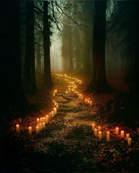 #candles #forrest #tree #trees #nature #naturelovers #goth #gothic Gothic Fairy Wedding, Fantasy Plot Ideas, Ghosts Artwork, Abandoned Photoshoot, Dark Gloomy Aesthetic, Witch In The Forest, Evil Forest, Cozy Decorating Ideas, Magical Mushroom