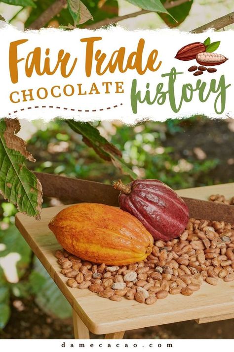 Chocolate History, History Of Chocolate, Fair Trade Chocolate, Environmental Justice, Developing Country, Best Chocolate, Be Nice, Fair Trade, The History