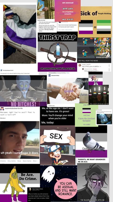 #asexual #asexualpride #asexuality #asex #ace #acepride #pride #pridememes Asexual Aesthetic, Ace Pride, Asexual Pride